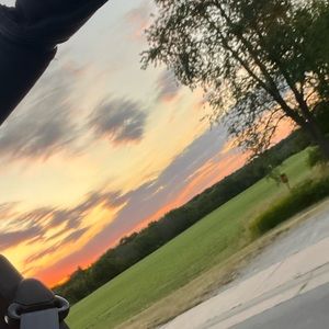 Meet your Posher, Harry